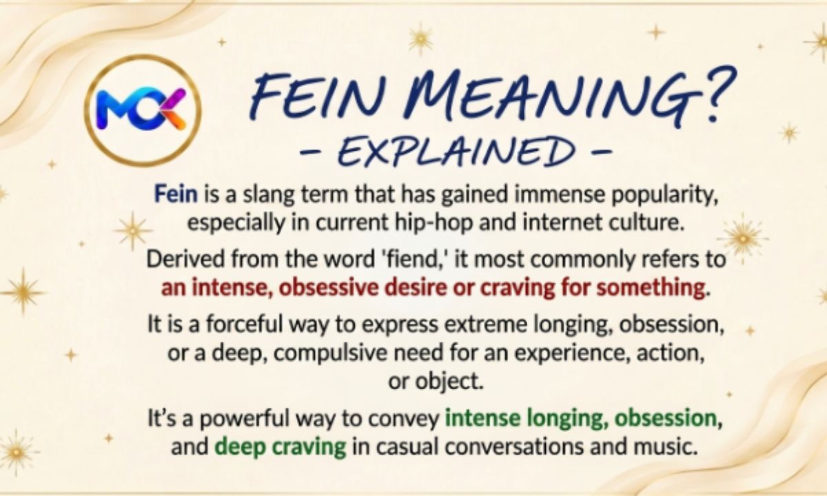 Fein meaning