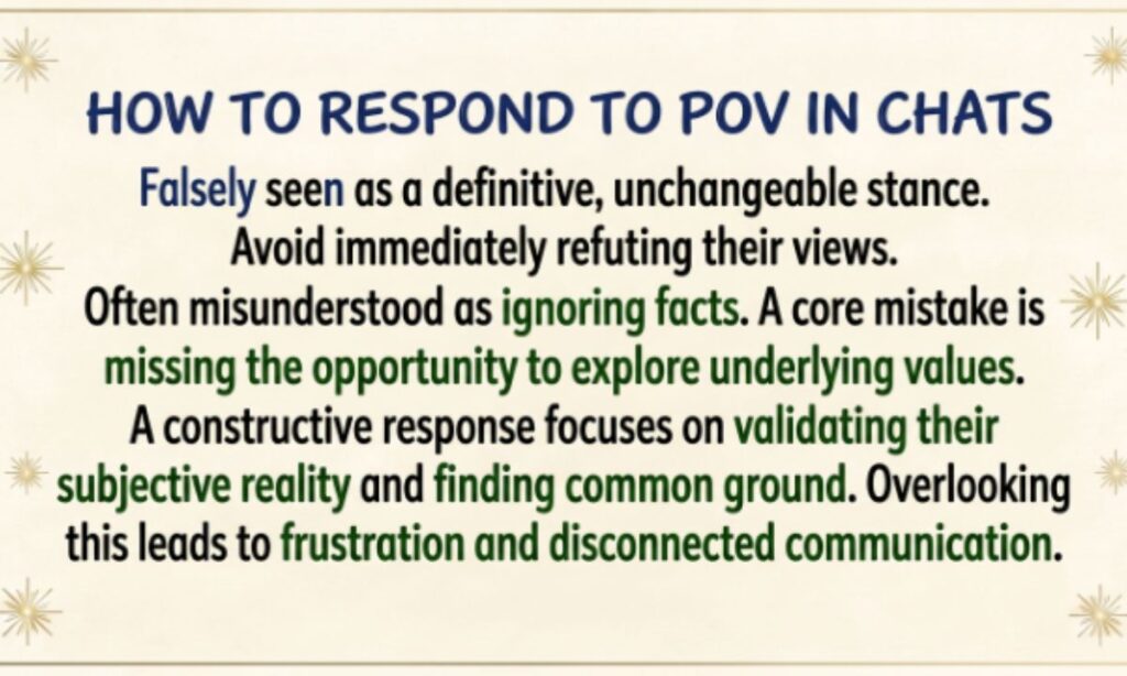 POV meaning