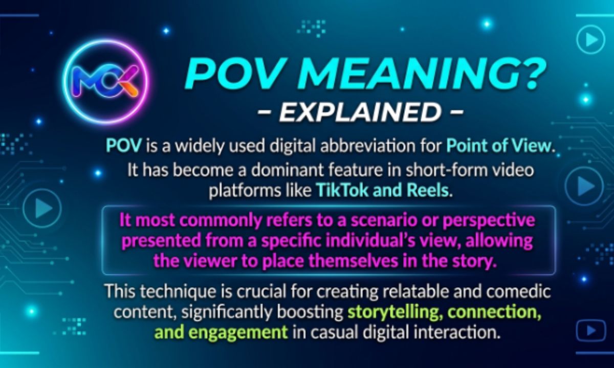 POV meaning