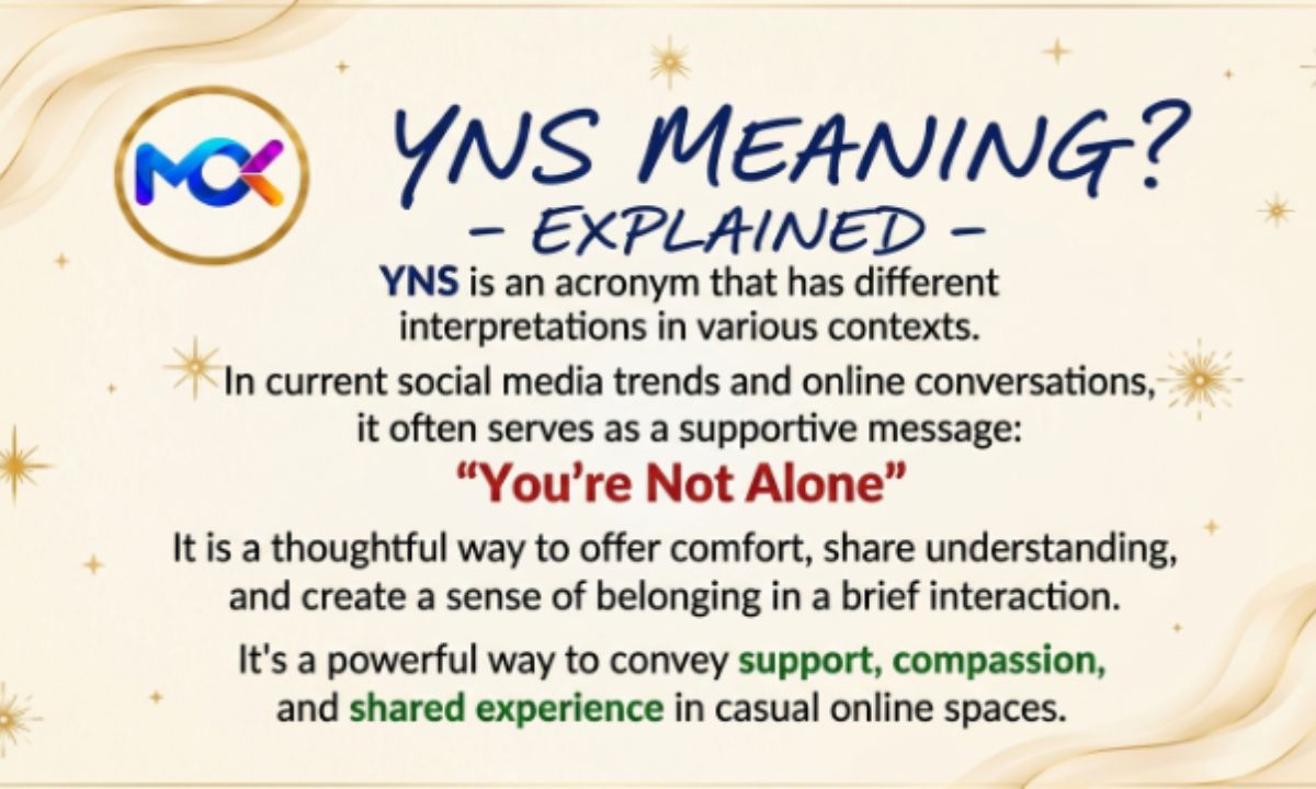 YNs Meanings