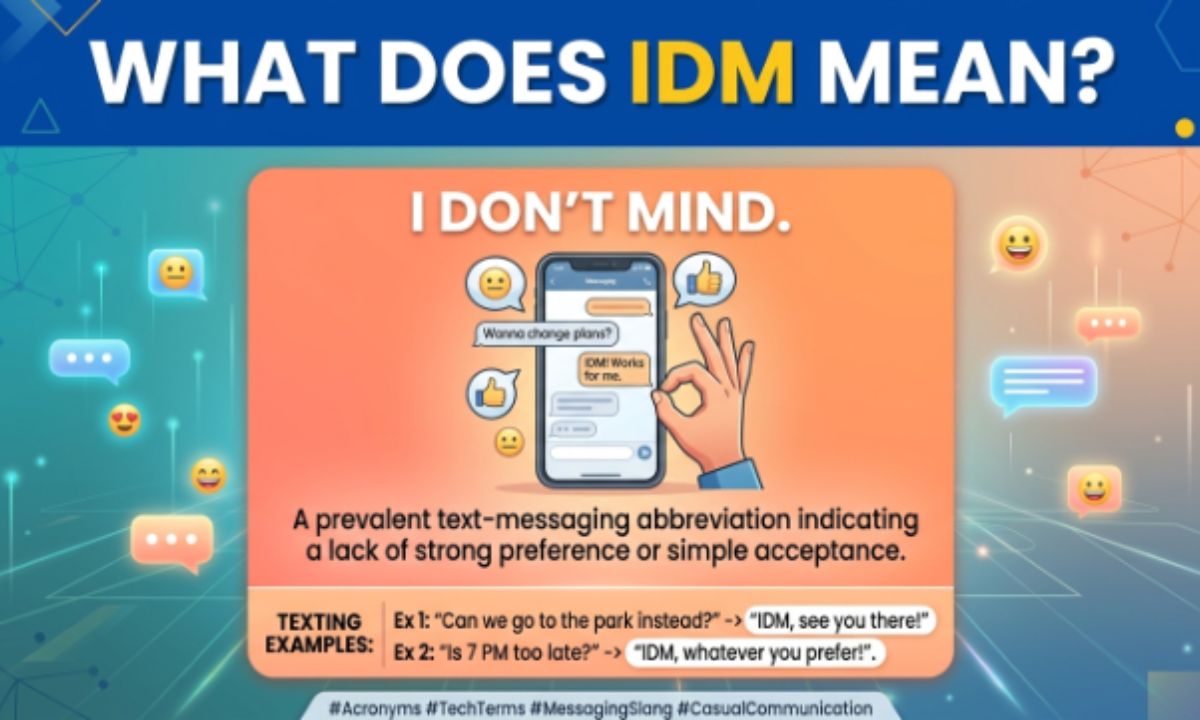 IDM Meaning